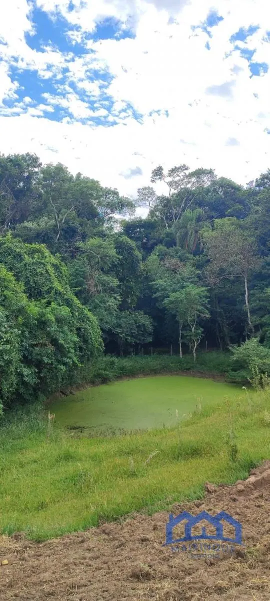 Sítio à venda de 38 ha em Itapetininga, SP, Brasil