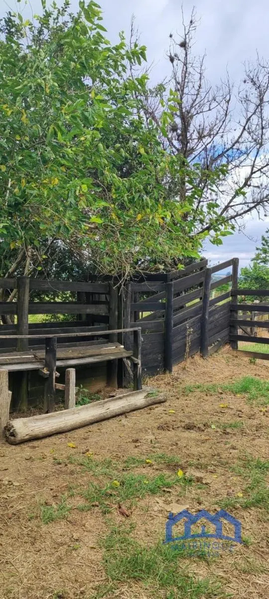 Sítio à venda de 38 ha em Itapetininga, SP, Brasil