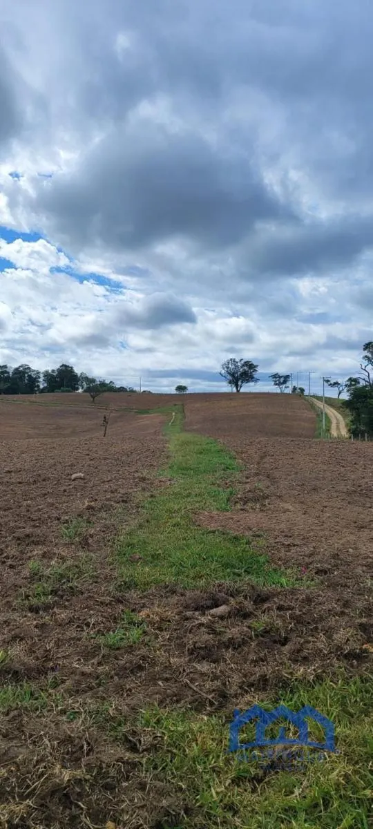 Sítio à venda de 38 ha em Itapetininga, SP, Brasil