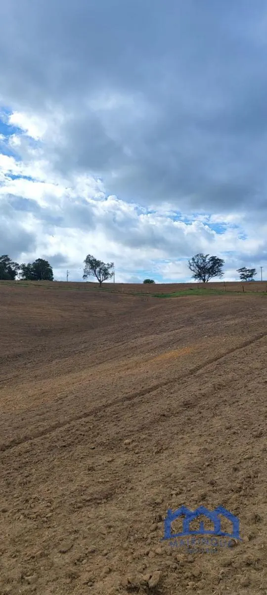 Sítio à venda de 38 ha em Itapetininga, SP, Brasil