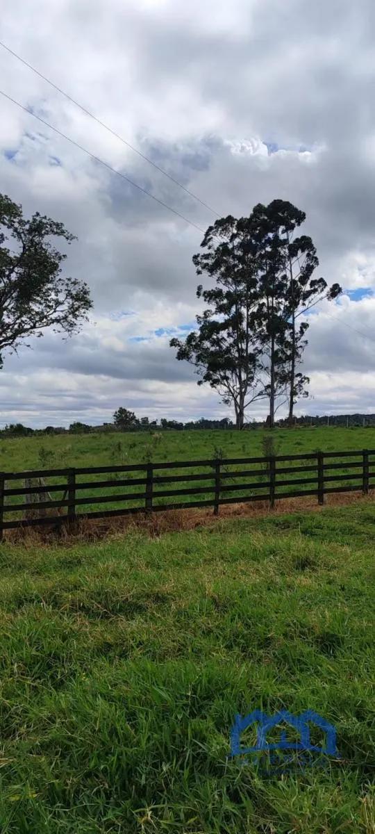 Sítio à venda de 38 ha em Itapetininga, SP, Brasil