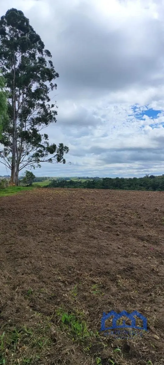 Sítio à venda de 38 ha em Itapetininga, SP, Brasil