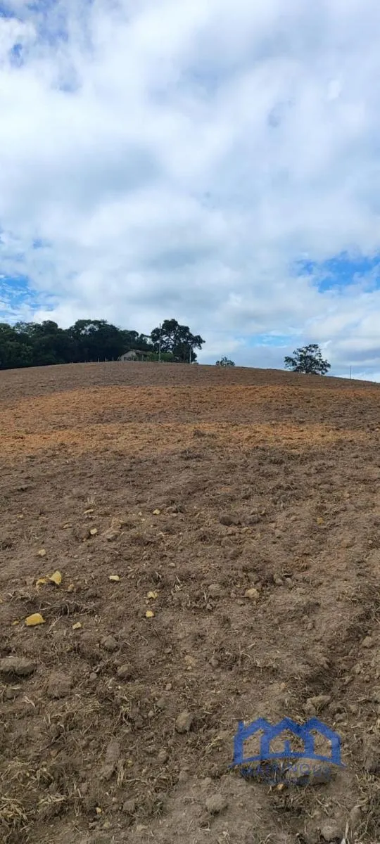 Sítio à venda de 38 ha em Itapetininga, SP, Brasil