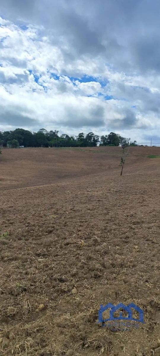 Sítio à venda de 38 ha em Itapetininga, SP, Brasil