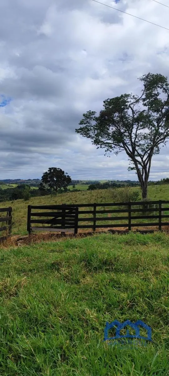Sítio à venda de 38 ha em Itapetininga, SP, Brasil