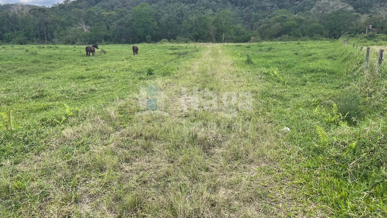Farm for sale of 2,200 m² in Canelinha, SC, Brazil