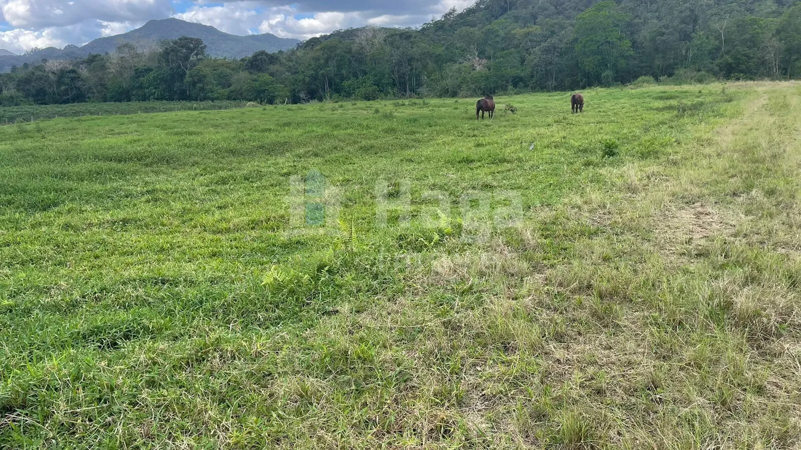 Farm for sale of 2,200 m² in Canelinha, SC, Brazil