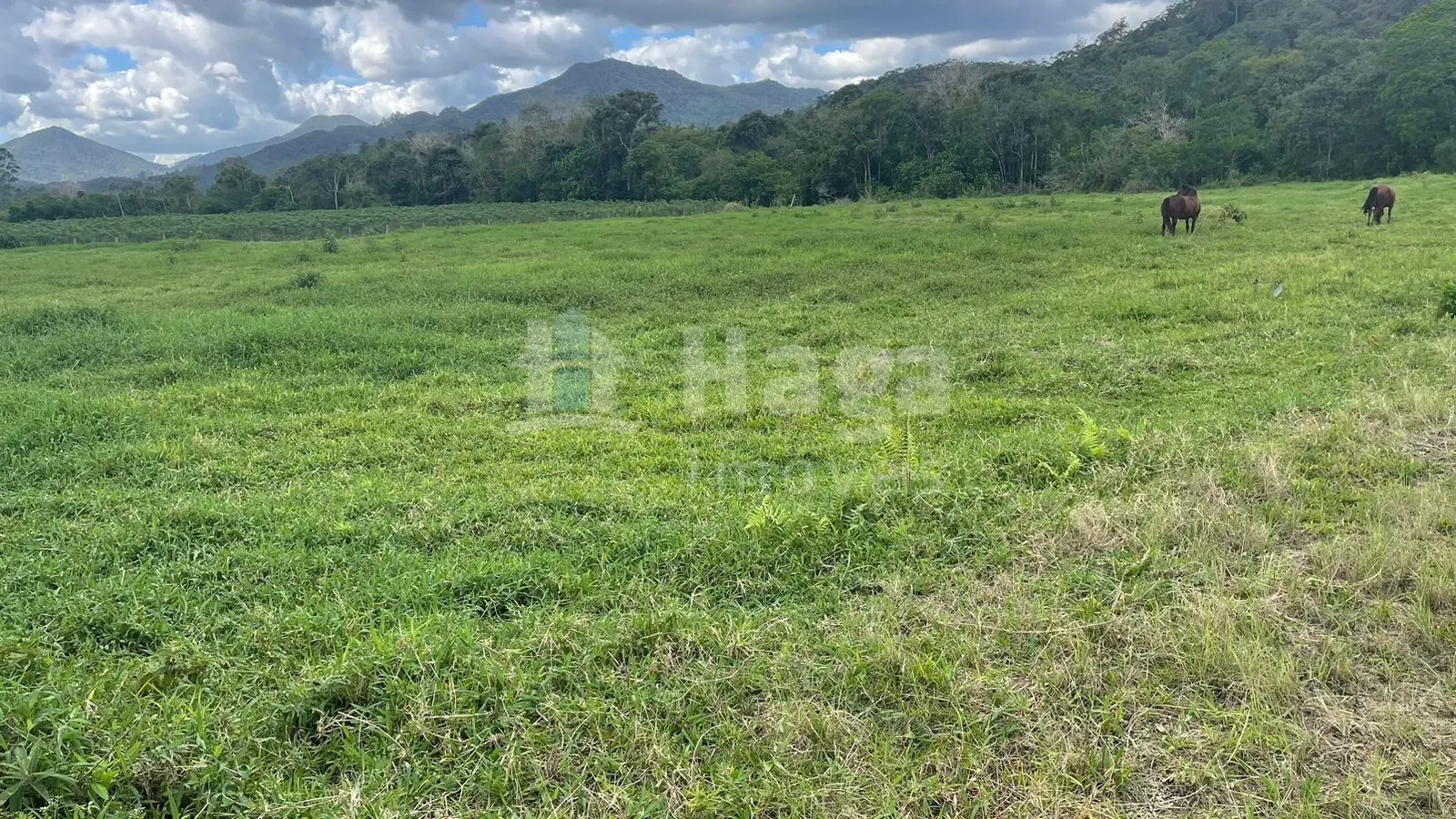 Fazenda à venda de 2.200 m² em Canelinha, SC, Brasil