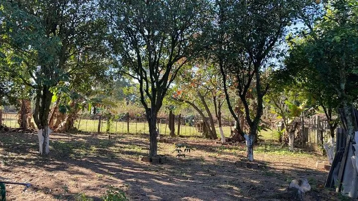 Chácara à venda de 4 ha em Santo Antônio da Patrulha, RS, Brasil