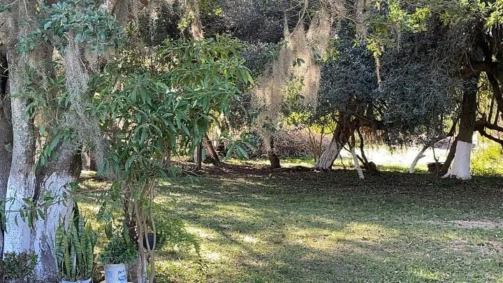Chácara à venda de 4 ha em Santo Antônio da Patrulha, RS, Brasil