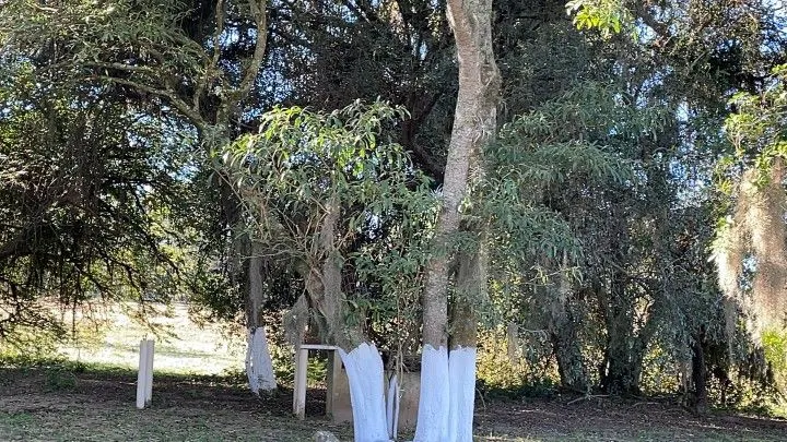 Chácara à venda de 4 ha em Santo Antônio da Patrulha, RS, Brasil