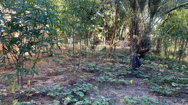 Chácara à venda de 4 ha em Santo Antônio da Patrulha, RS, Brasil