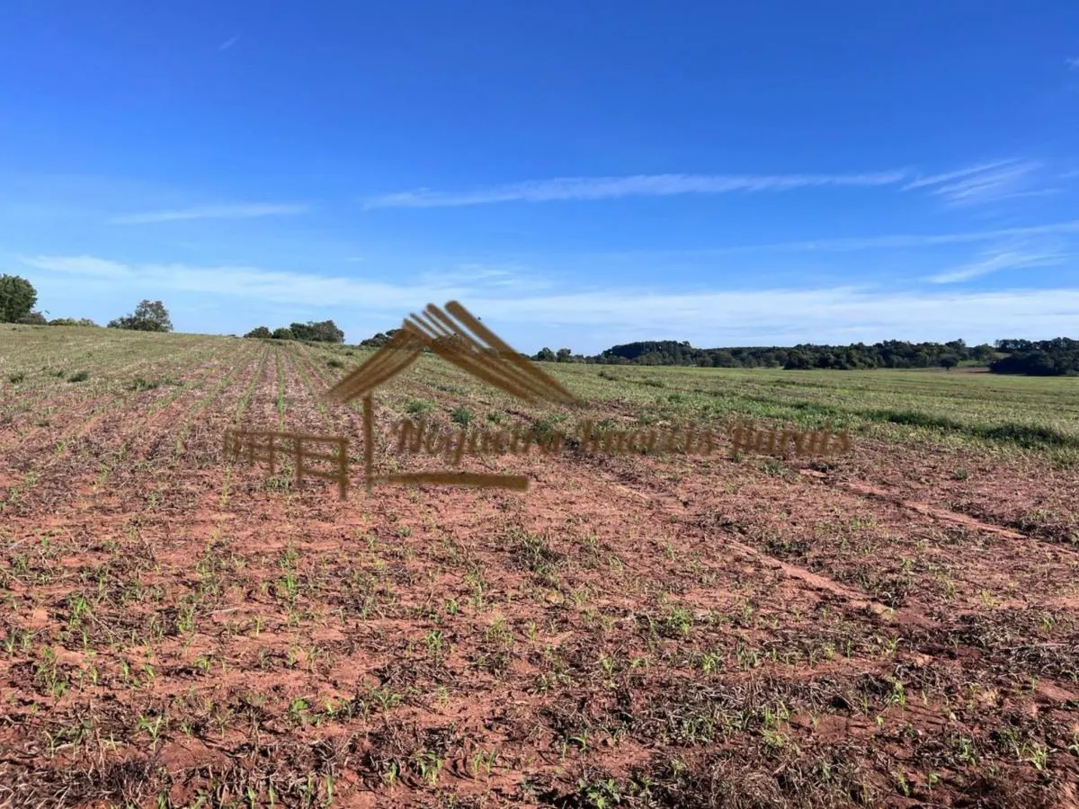 Fazenda à venda de 580 ha em Avaré, SP, Brasil