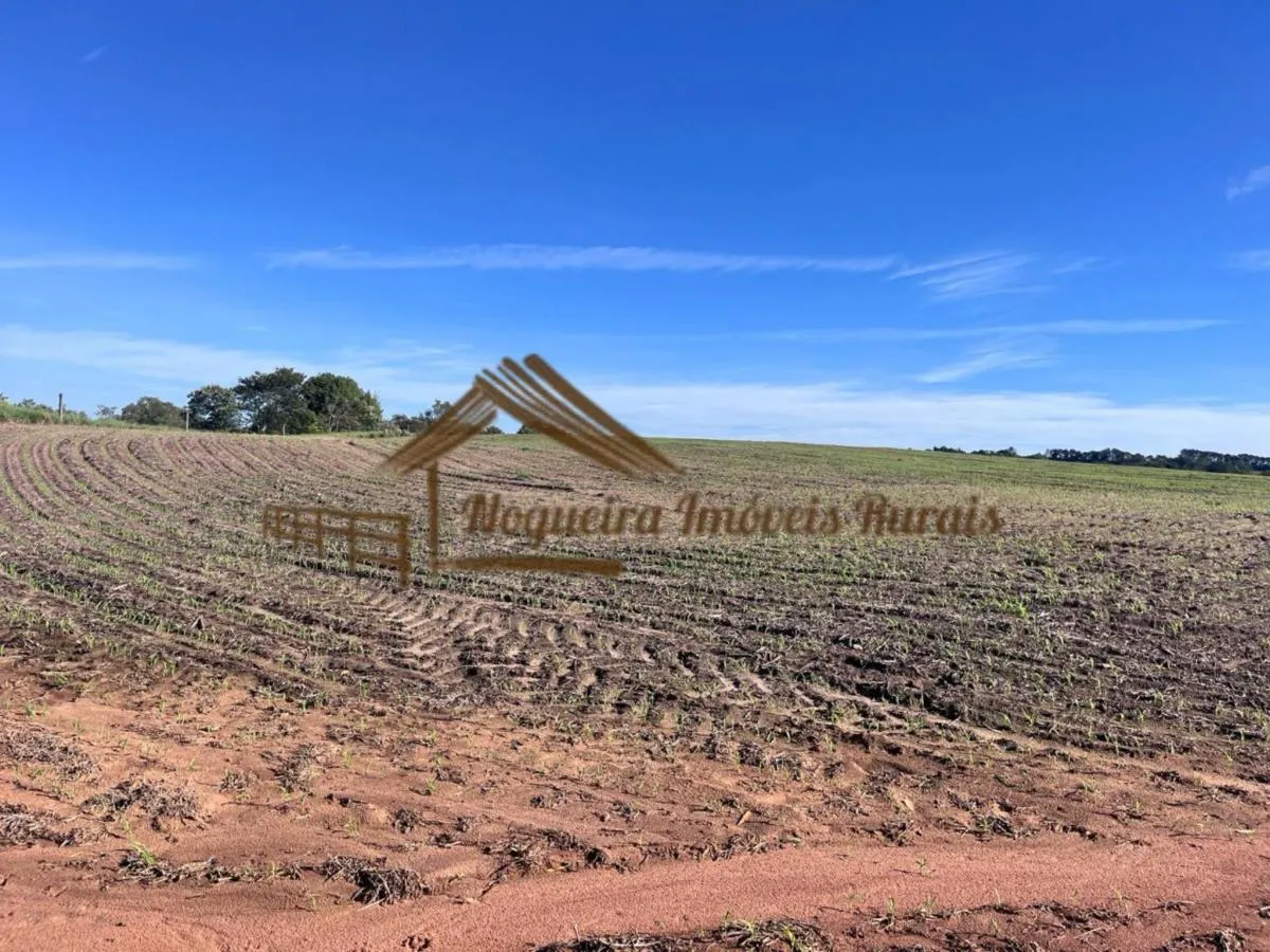 Fazenda à venda de 580 ha em Avaré, SP, Brasil