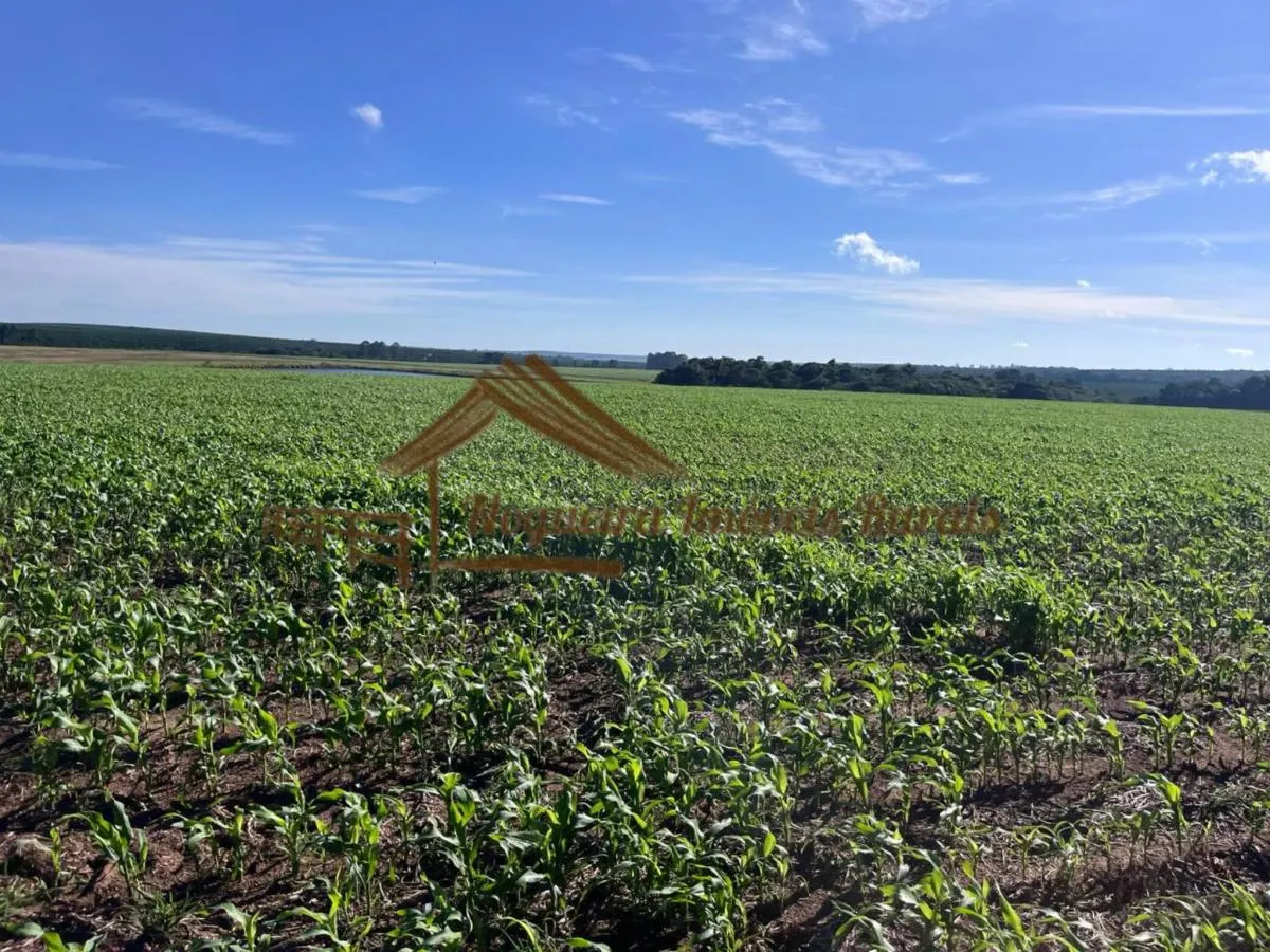 Fazenda à venda de 580 ha em Avaré, SP, Brasil