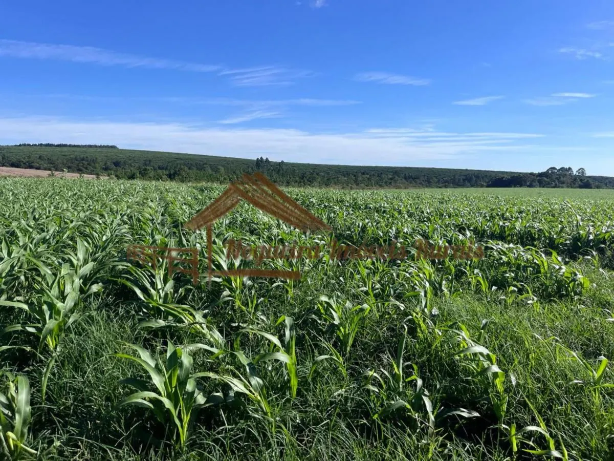 Fazenda à venda de 580 ha em Avaré, SP, Brasil