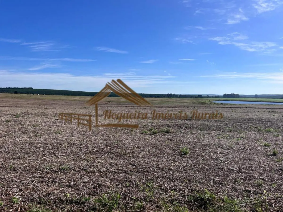 Fazenda à venda de 580 ha em Avaré, SP, Brasil