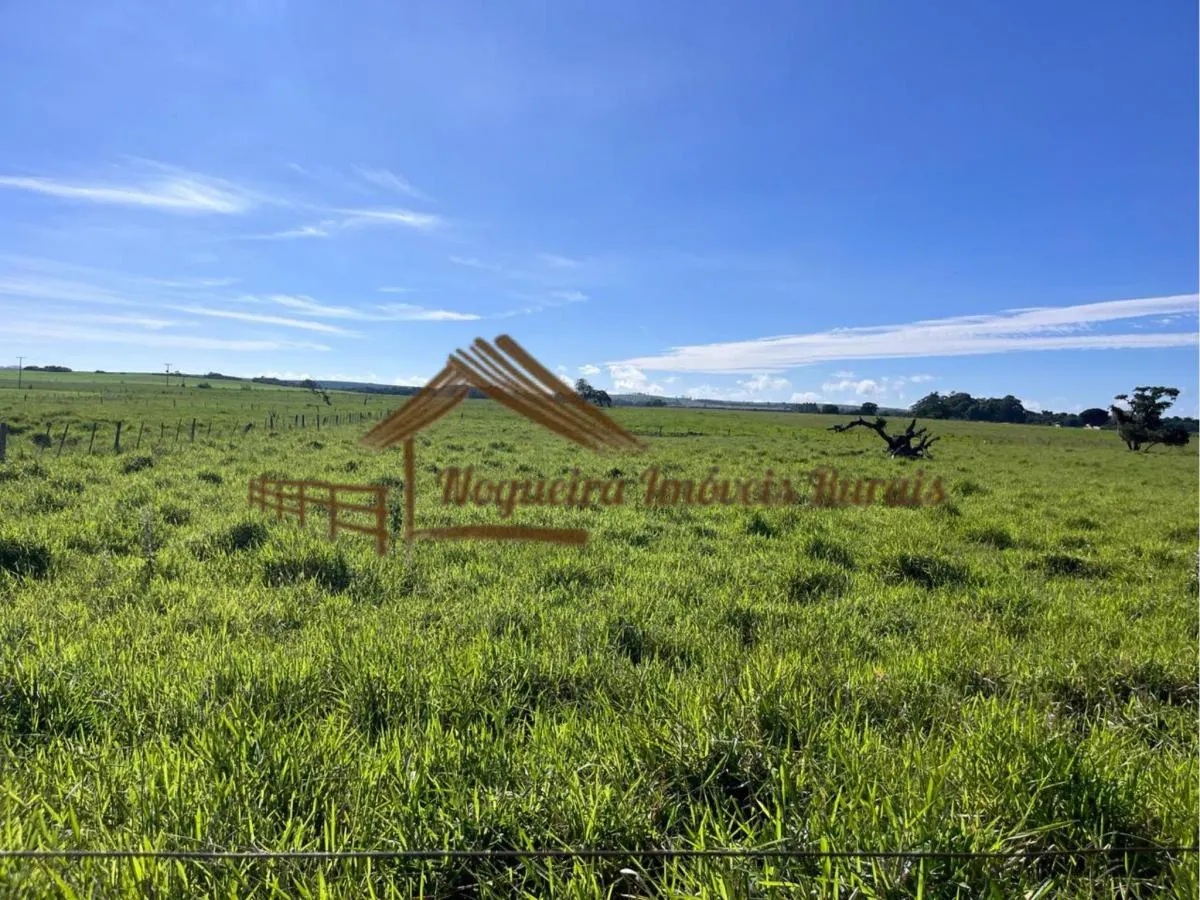 Fazenda à venda de 580 ha em Avaré, SP, Brasil