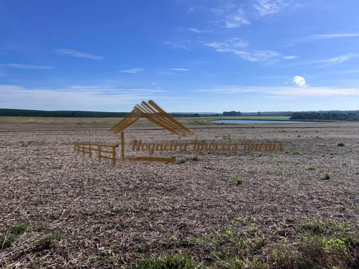 Fazenda à venda de 580 ha em Avaré, SP, Brasil
