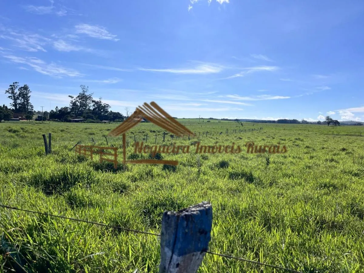 Fazenda à venda de 580 ha em Avaré, SP, Brasil