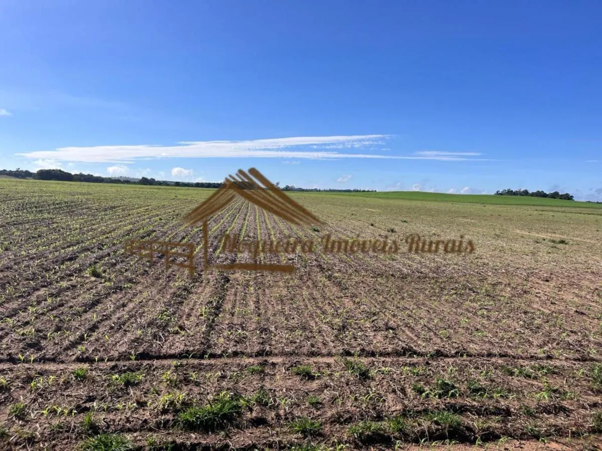 Fazenda à venda de 580 ha em Avaré, SP, Brasil