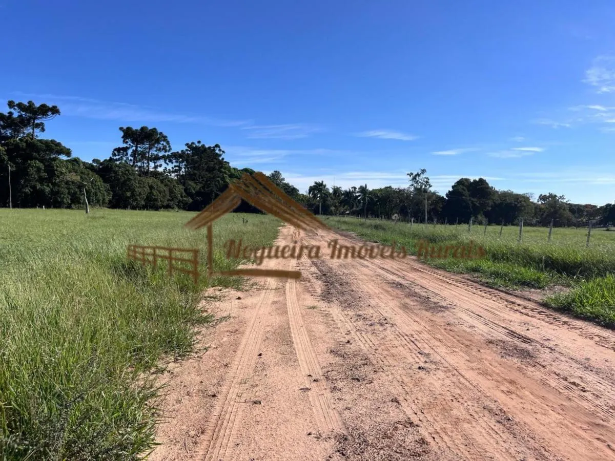 Fazenda à venda de 580 ha em Avaré, SP, Brasil