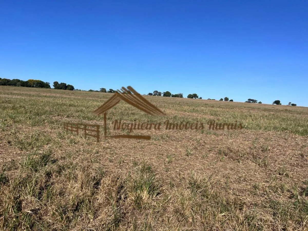 Fazenda à venda de 580 ha em Avaré, SP, Brasil