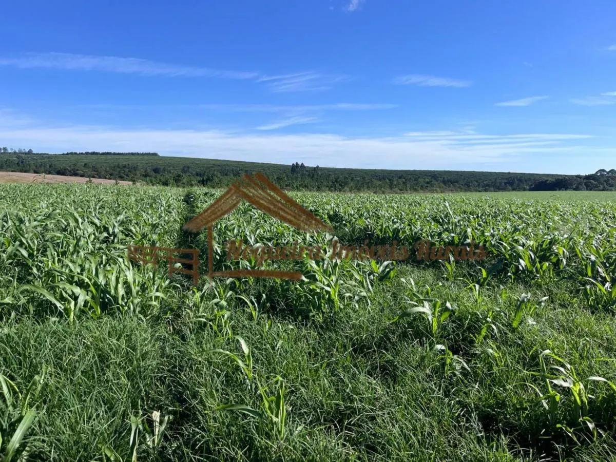 Fazenda à venda de 580 ha em Avaré, SP, Brasil