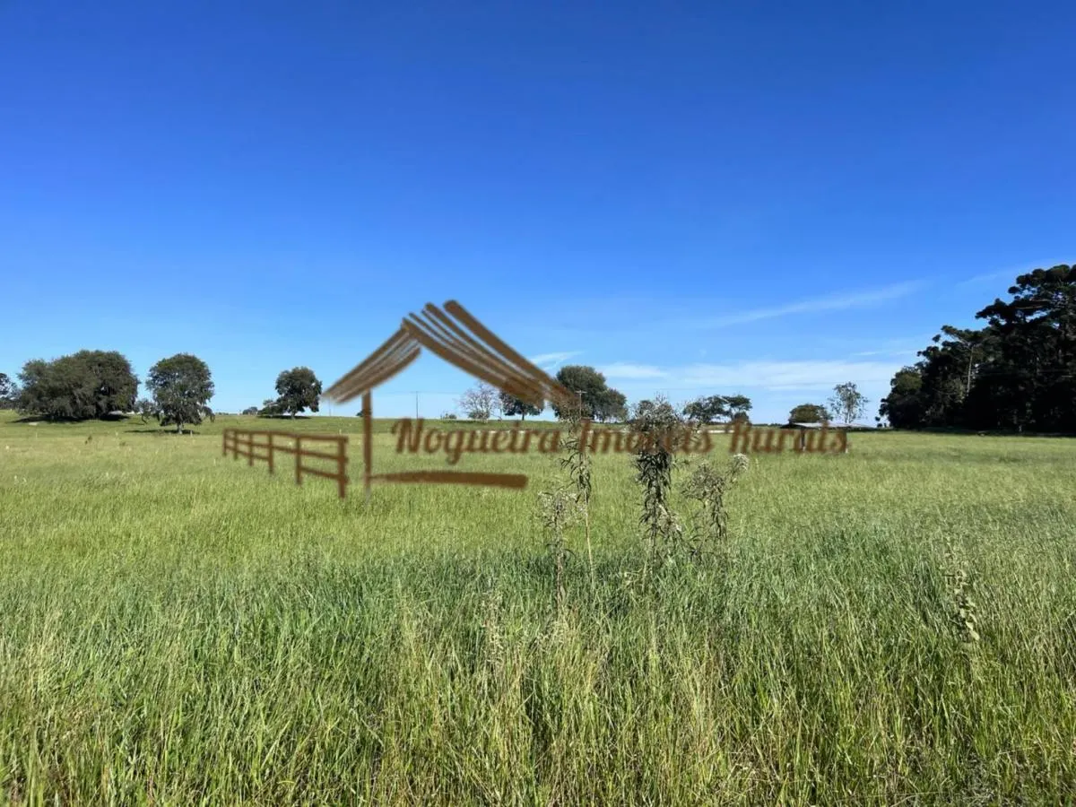Fazenda à venda de 580 ha em Avaré, SP, Brasil