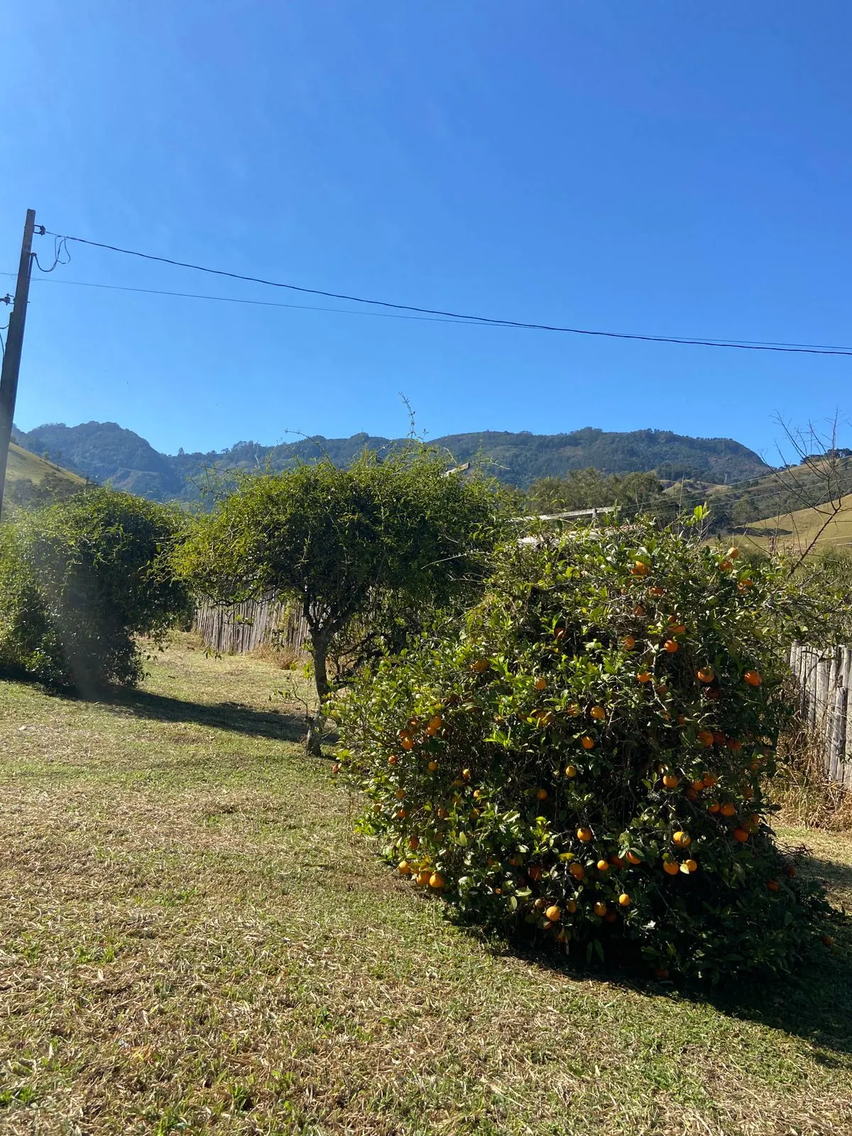 Chácara à venda de 5.000 m² em Santo Antônio do Pinhal, SP, Brasil