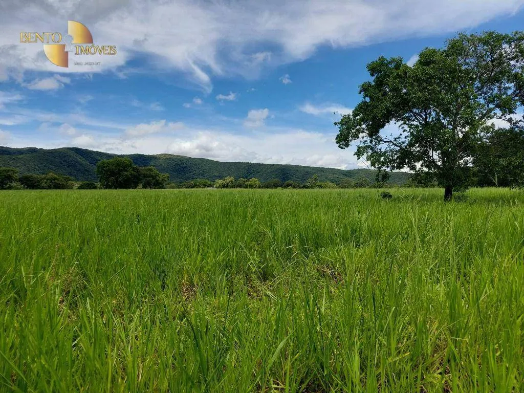 Fazenda à venda de 1.700 ha em Acorizal, MT, Brasil
