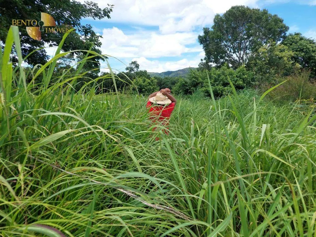 Fazenda à venda de 1.700 ha em Acorizal, MT, Brasil
