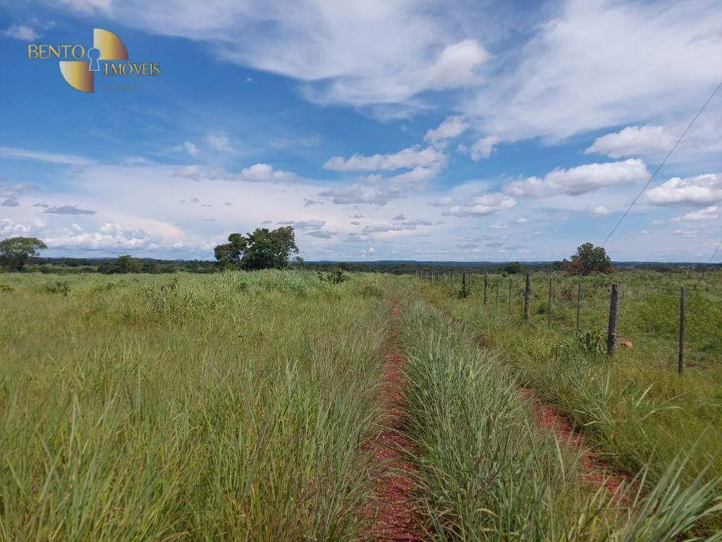 Fazenda à venda de 1.700 ha em Acorizal, MT, Brasil