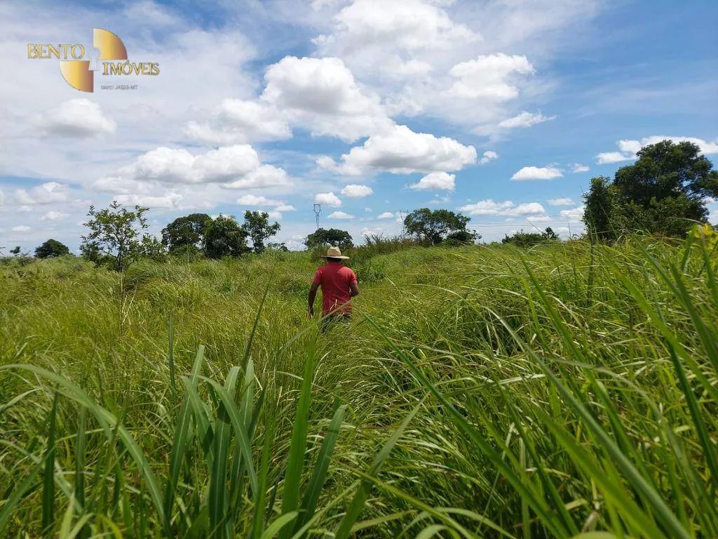 Fazenda à venda de 1.700 ha em Acorizal, MT, Brasil