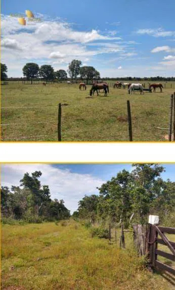Fazenda à venda de 4.990 ha em Santo Antônio do Leverger, MT, Brasil