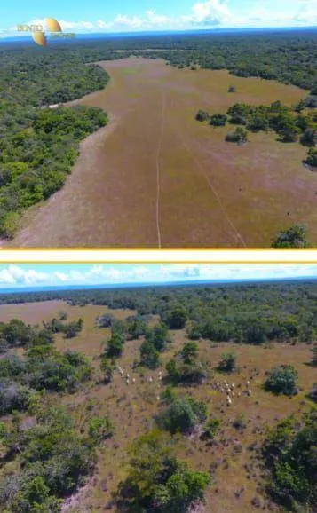 Fazenda à venda de 4.990 ha em Santo Antônio do Leverger, MT, Brasil