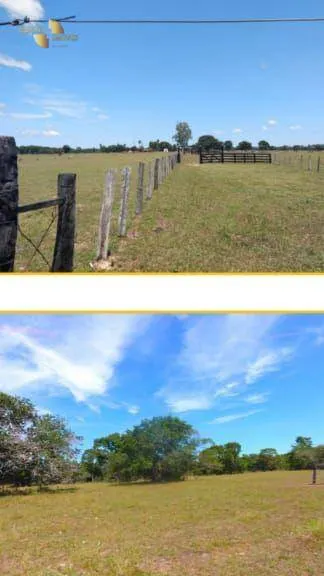 Fazenda à venda de 4.990 ha em Santo Antônio do Leverger, MT, Brasil