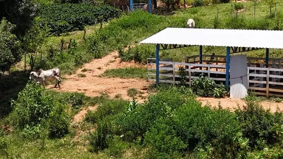 Small farm for sale of 3 acres in Capitólio, MG, Brazil