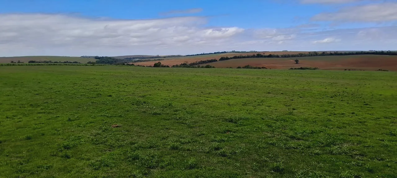 Fazenda à venda de 136 ha em Itapetininga, SP, Brasil