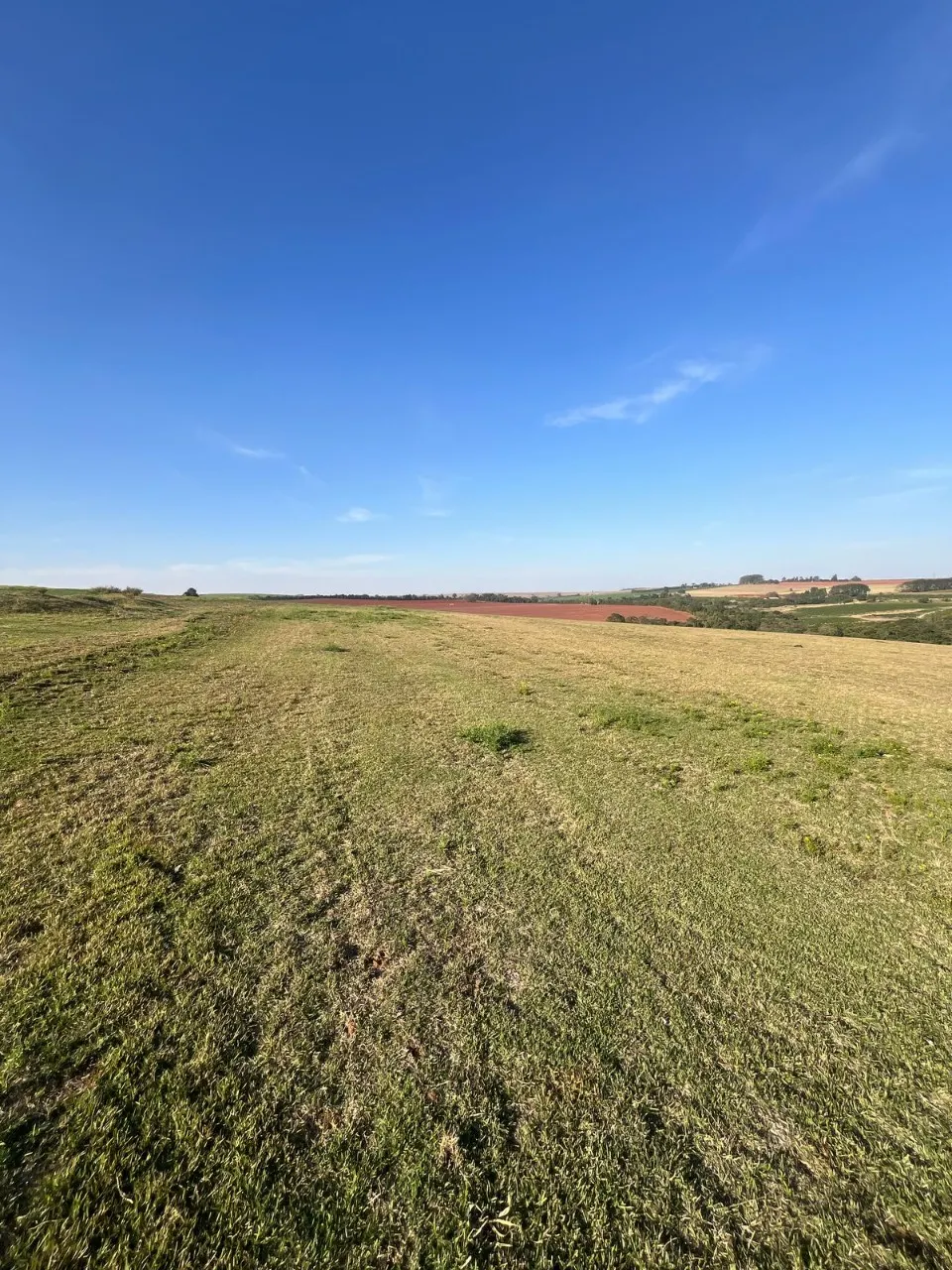 Fazenda à venda de 136 ha em Itapetininga, SP, Brasil