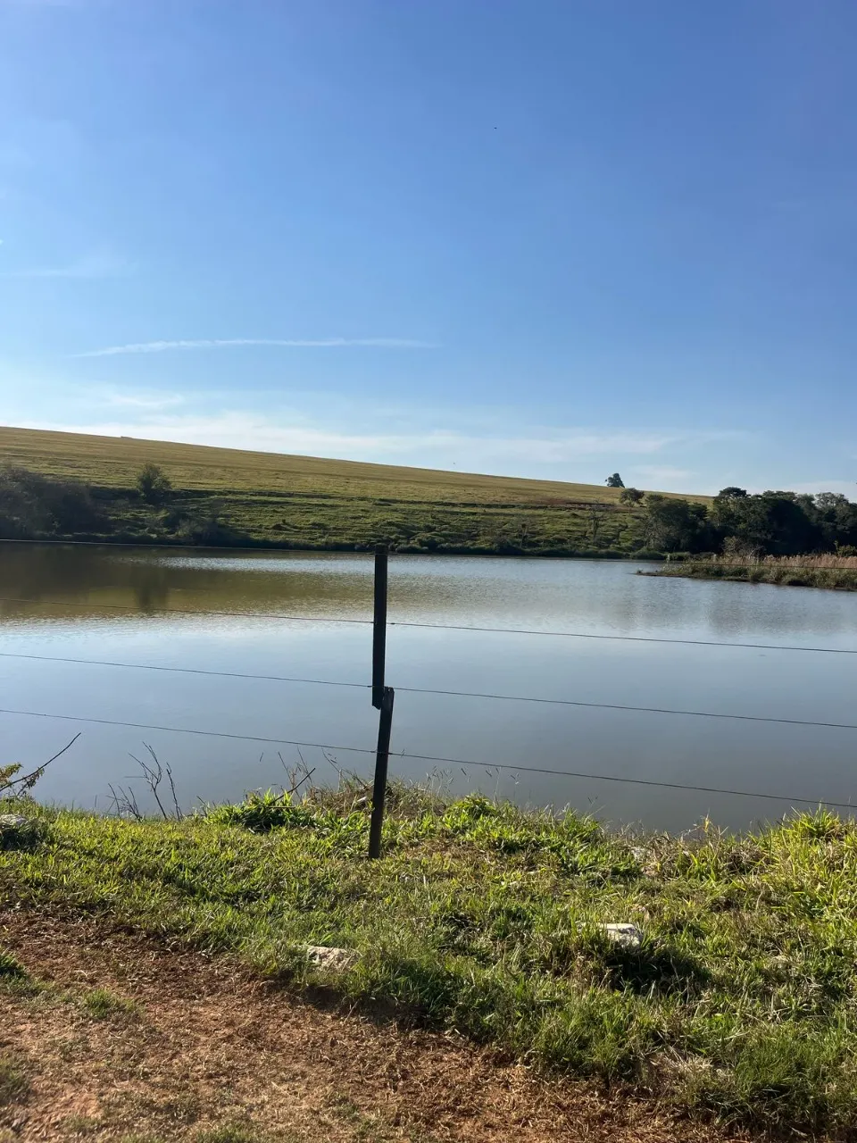 Fazenda à venda de 136 ha em Itapetininga, SP, Brasil