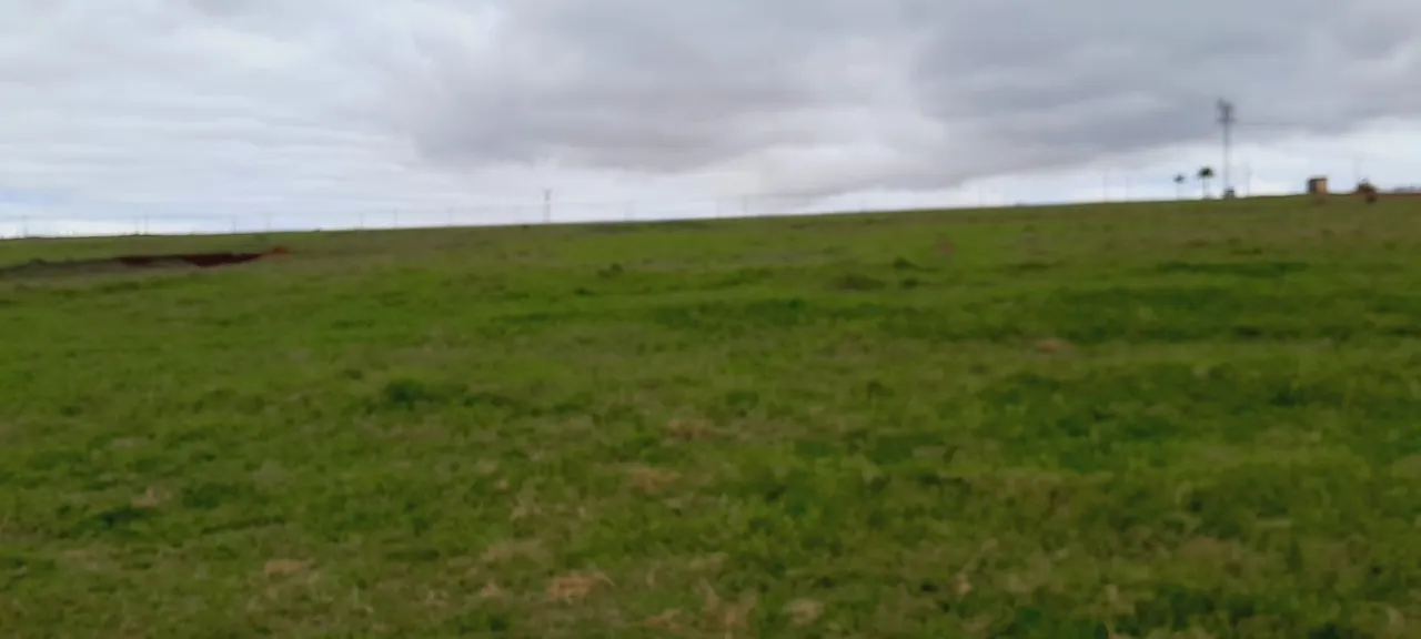 Fazenda à venda de 136 ha em Itapetininga, SP, Brasil