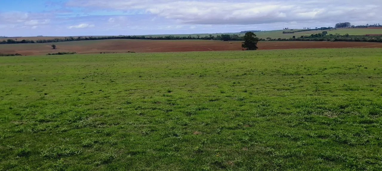 Fazenda à venda de 136 ha em Itapetininga, SP, Brasil