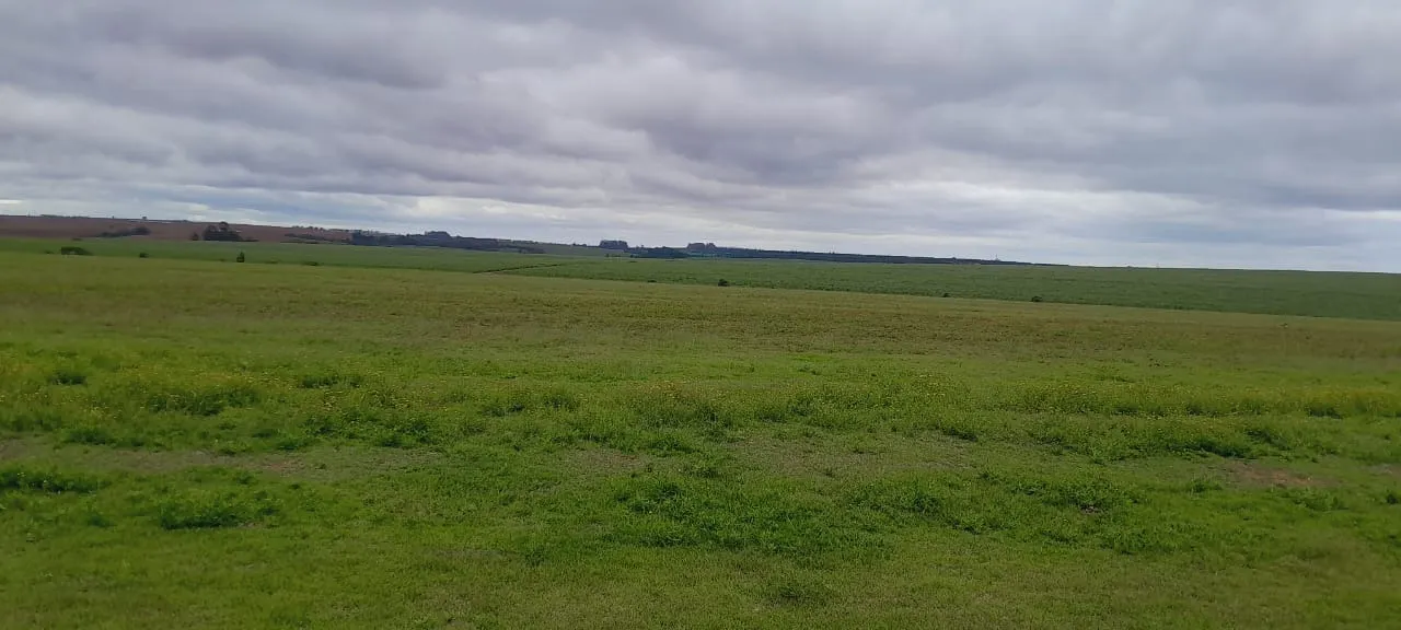 Fazenda à venda de 136 ha em Itapetininga, SP, Brasil