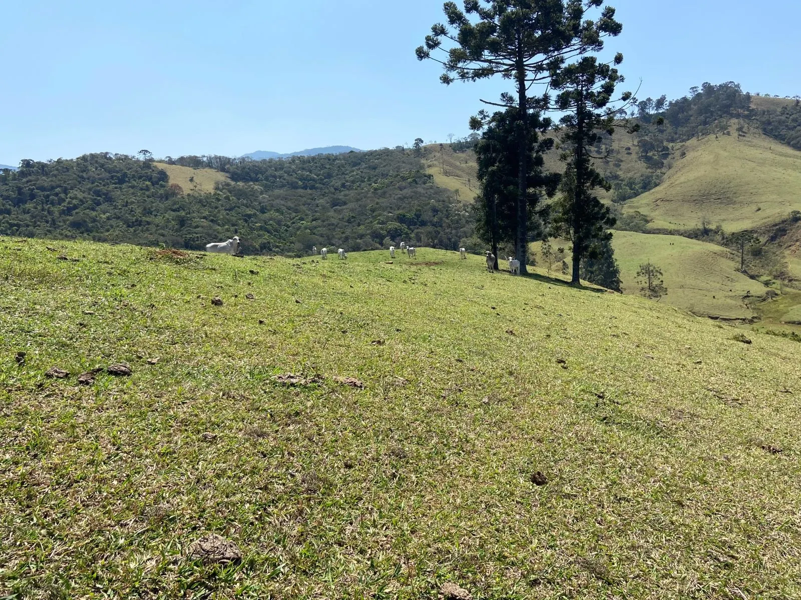 Terreno à venda de 17 ha em Sapucaí-Mirim, MG, Brasil