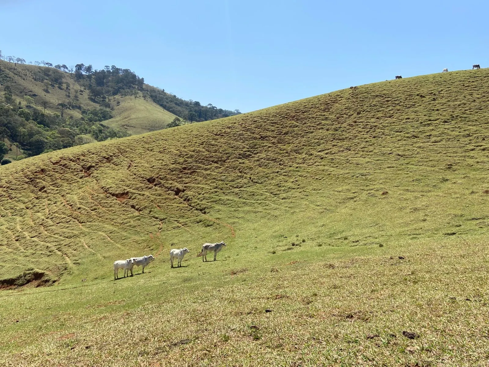 Terreno à venda de 17 ha em Sapucaí-Mirim, MG, Brasil