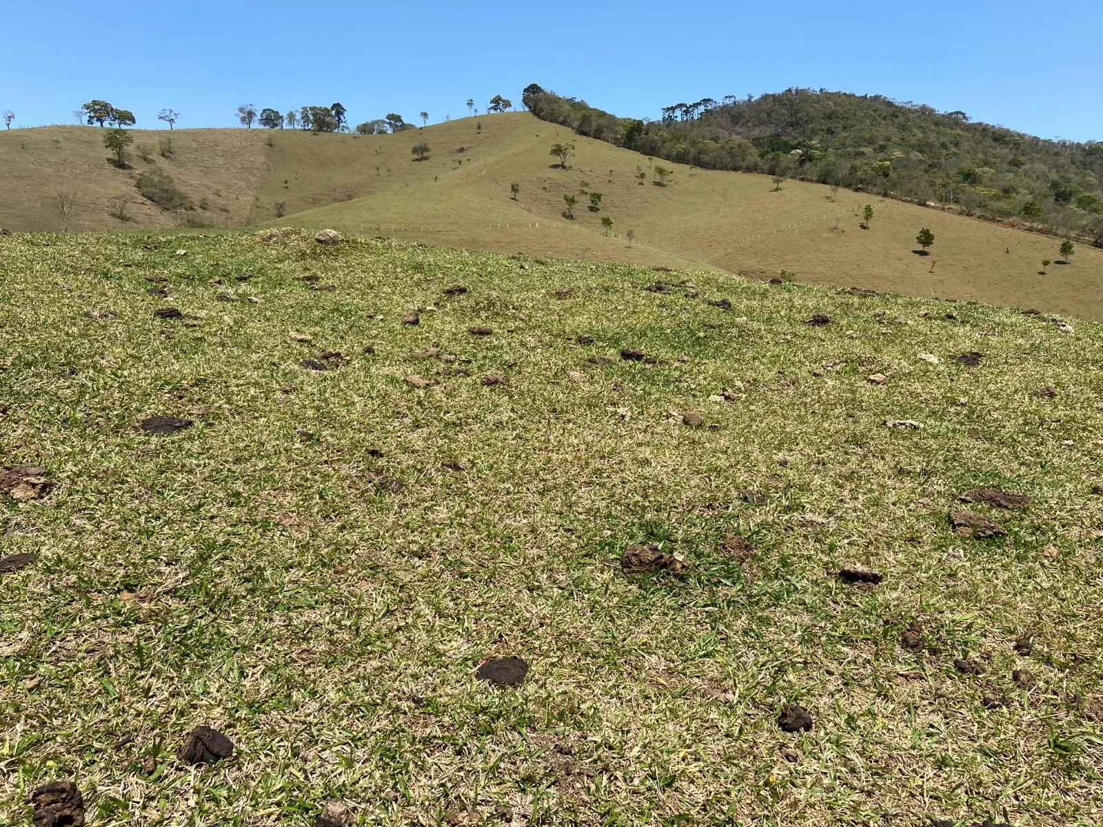 Terreno à venda de 17 ha em Sapucaí-Mirim, MG, Brasil
