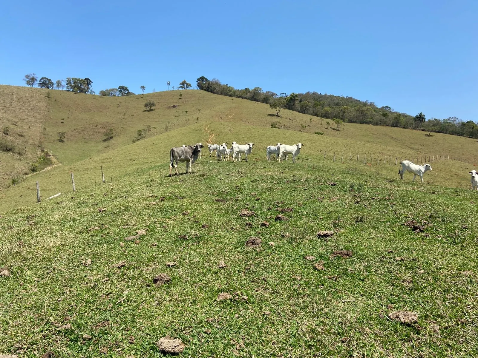 Terreno à venda de 17 ha em Sapucaí-Mirim, MG, Brasil
