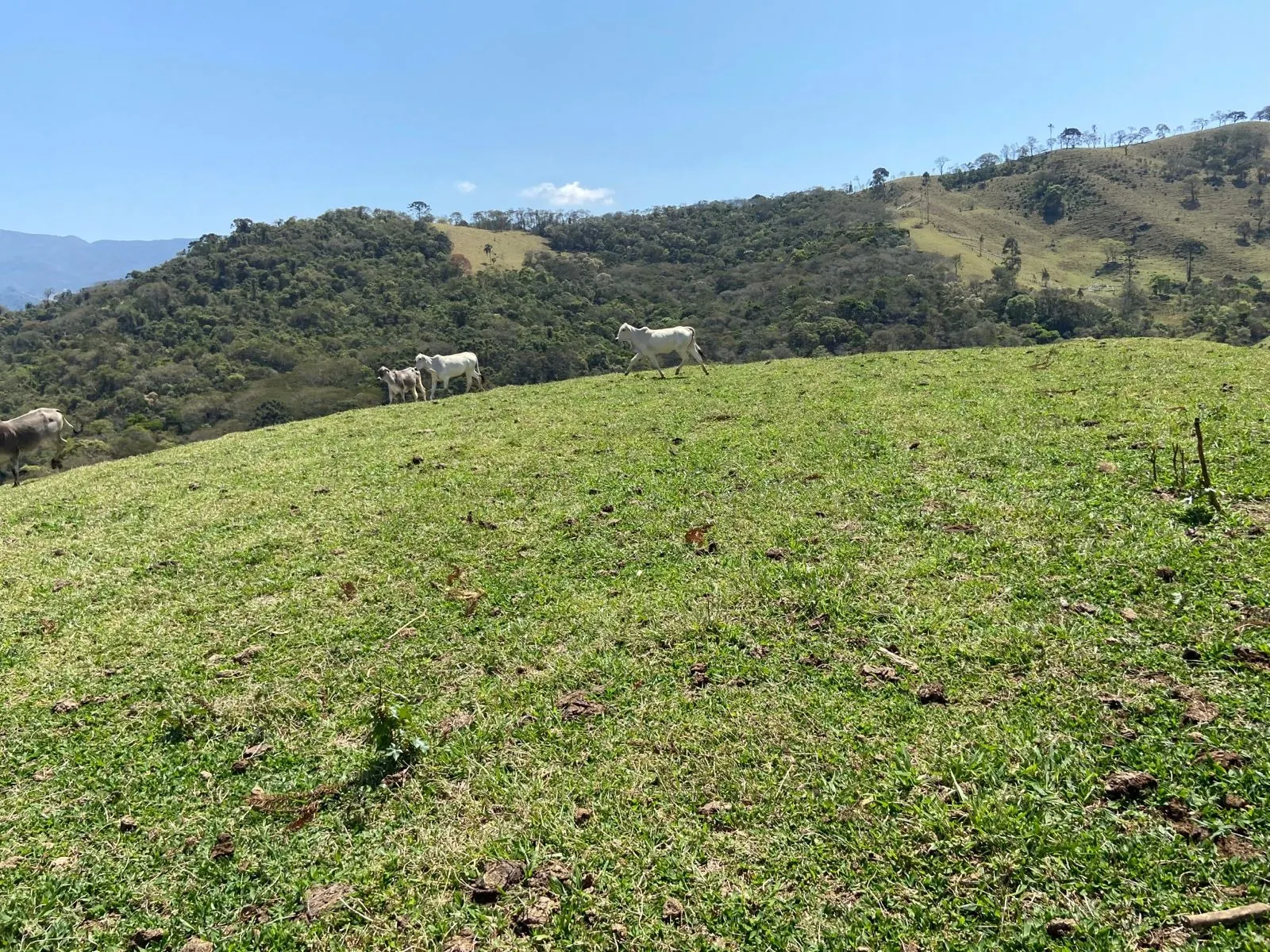Terreno à venda de 17 ha em Sapucaí-Mirim, MG, Brasil