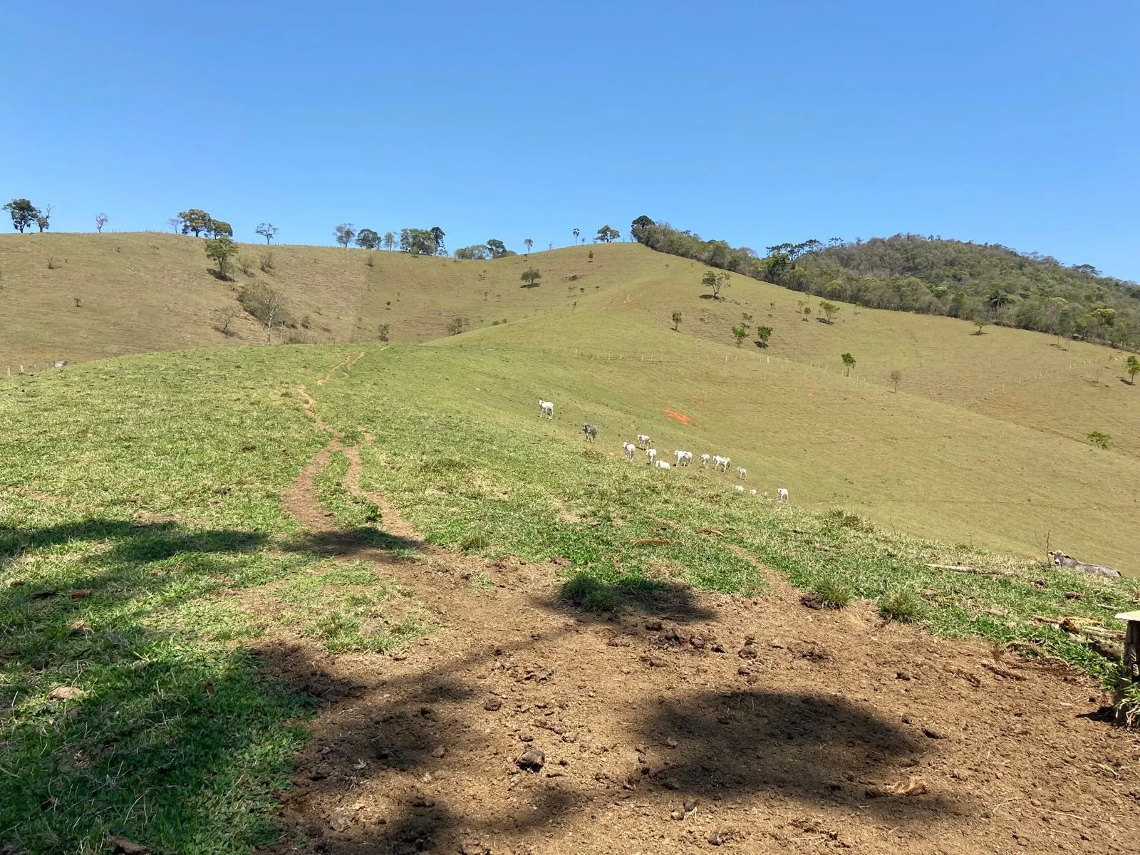 Terreno à venda de 17 ha em Sapucaí-Mirim, MG, Brasil